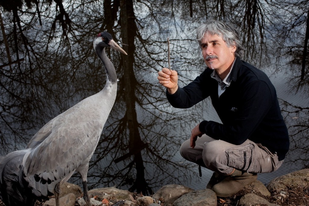 Sauvegarde des oiseaux migrateurs